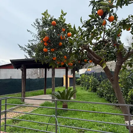 Da Zi Fabiola Stazione